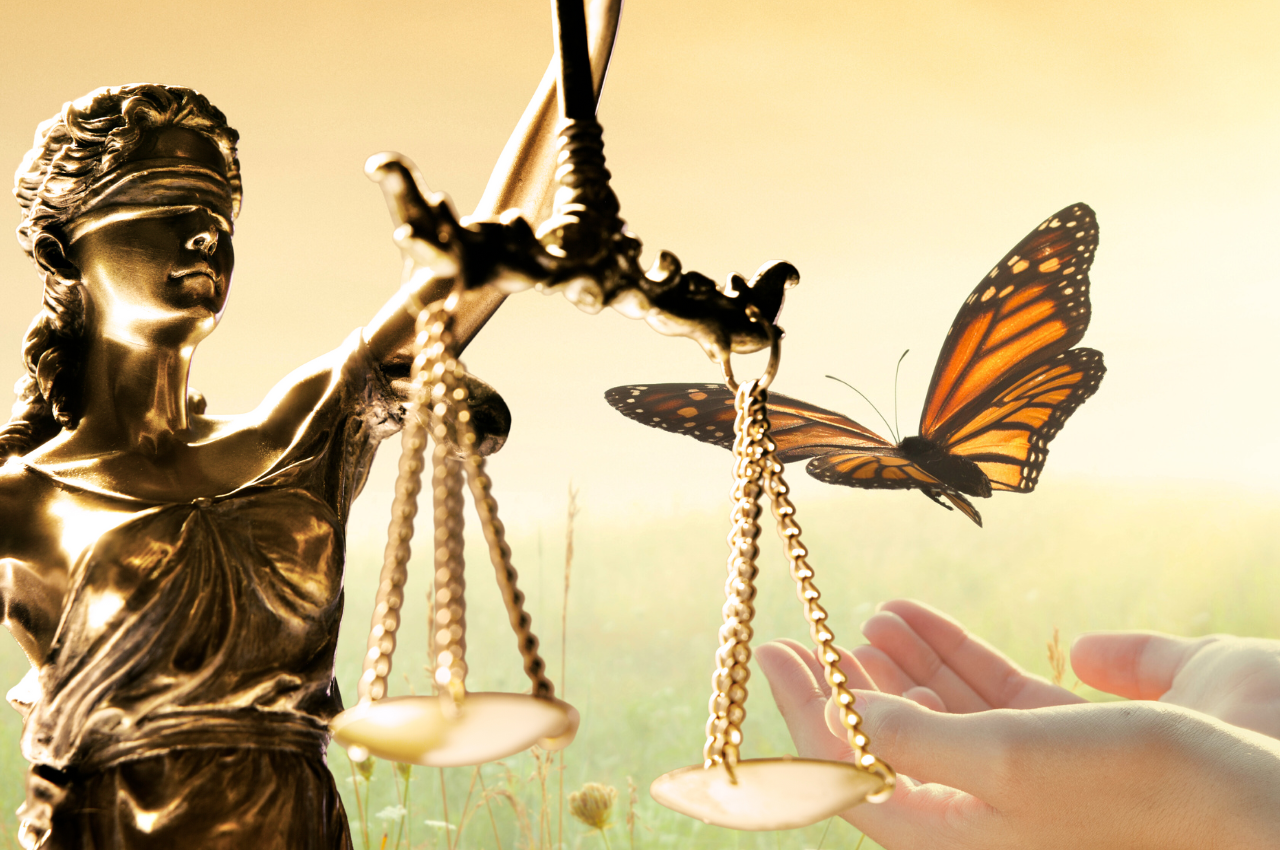 Comment vous libérer définitivement du jugement ?