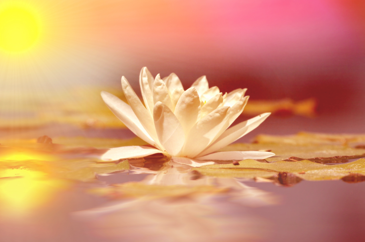 La Souffrance Comme Signe De Renaissance