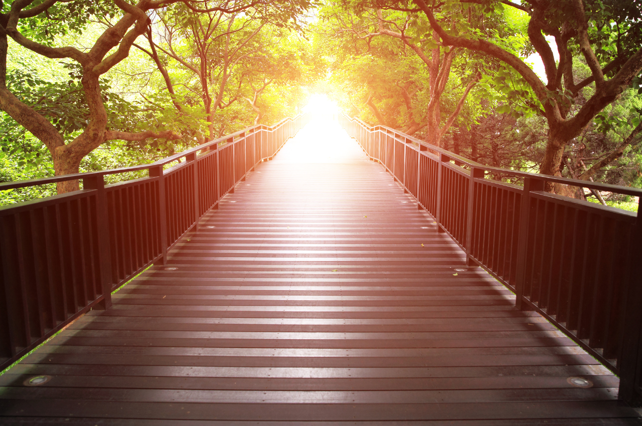 L’Entrepreneuriat, Ce Chemin Initiatique