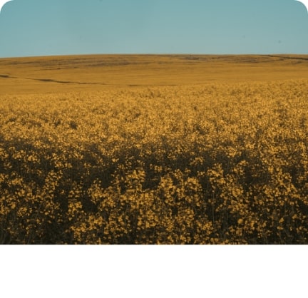 Totalement confidentiel